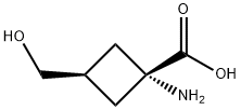 Cyclobutanecarboxylic acid, 1-amino-3-(hydroxymethyl)-, cis- (9CI)