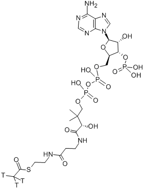 ACETYL COENZYME A, [ACETYL-3H]