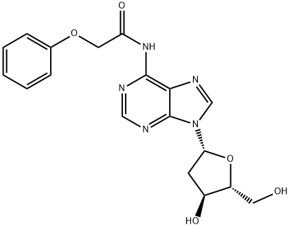 2'-脱氧-N6-苯氧基乙酰基腺苷