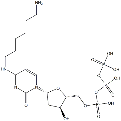 N(4)-(6-aminohexyl)deoxycytidine 5'-triphosphate