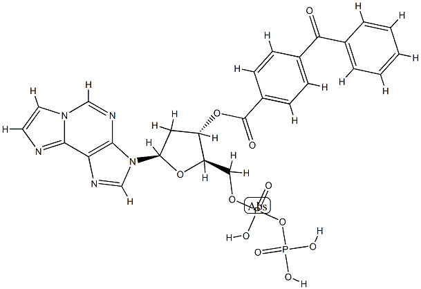 2'-deoxy-3'-O-(4-benzoylbenzoyl)-1,N(6)-ethenoadenonosine 5'-diphosphate