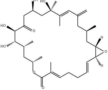 amphidinolide D