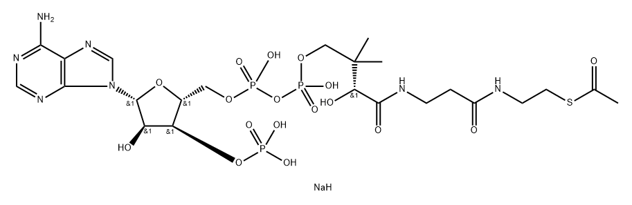 coenzyme A acetyl derivative, disodium salt
