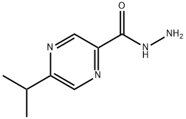 Pyrazinecarboxylic acid, 5-(1-methylethyl)-, hydrazide (9CI)