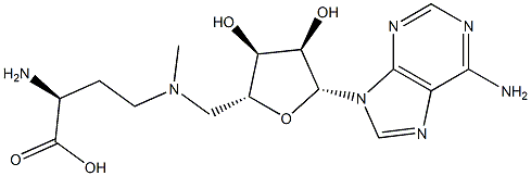N(4)-adenosyl-N(4)-methyl-2,4-diaminobutanoic acid