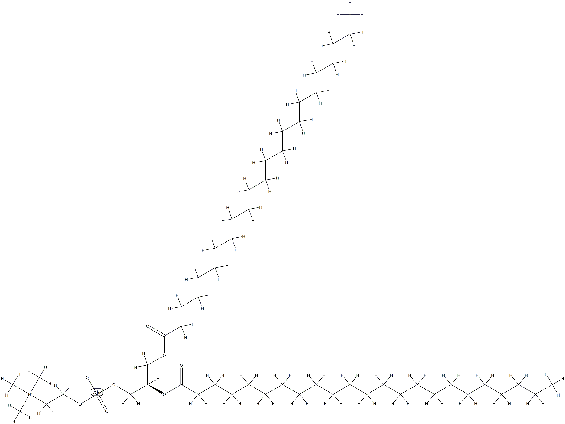 1,2-DITRICOSANOYL-SN-GLYCERO-3-PHOSPHOCHOLINE;23:0 PC