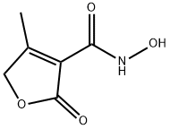 3-Furancarboxamide,2,5-dihydro-N-hydroxy-4-methyl-2-oxo-(9CI)