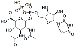 uridine 5'-diphospho-2,3-diacetamido-2,3-dideoxyglucopyranuronic acid