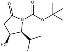 (2S,3S)-叔-丁基 3-羟基-2-异丙基-5-氧亚基吡咯烷-1-甲酸基酯