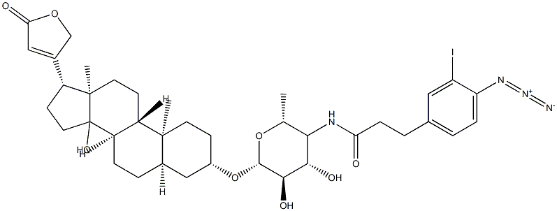 3-(4-azido-3-iodophenyl)propionamide-4-(4,6-dideoxyglucosyl)digitoxigenin