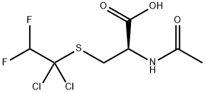 N-acetyl-S-(1,1-dichloro-2,2-difluoroethyl)-1-cysteine
