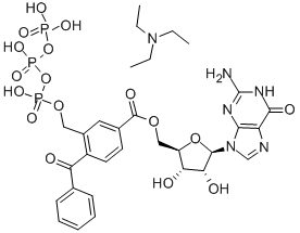 2'-3'-O-(4-BENZOYLBENZOYL)GUANOSINE*5'-TRIPHOSPHATE