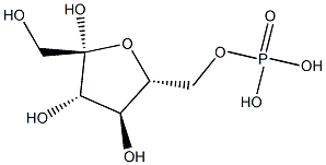 (1R,4S)-(S)-BicalutaMide Sulfide CaMphanic Acid Ester