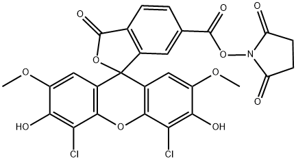 6-羧基-4,5-二氯-2,7-二甲氧基荧光素琥珀酰亚胺酯
