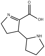 1-Pyrroline-2-carboxylicacid,3-(2-pyrrolidinyl)-(6CI)