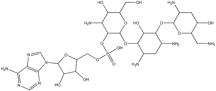 2''-(adenosine-5'-phosphoryl)tobramycin