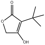 3-叔丁基-4-羟基呋喃-2(5H)-酮