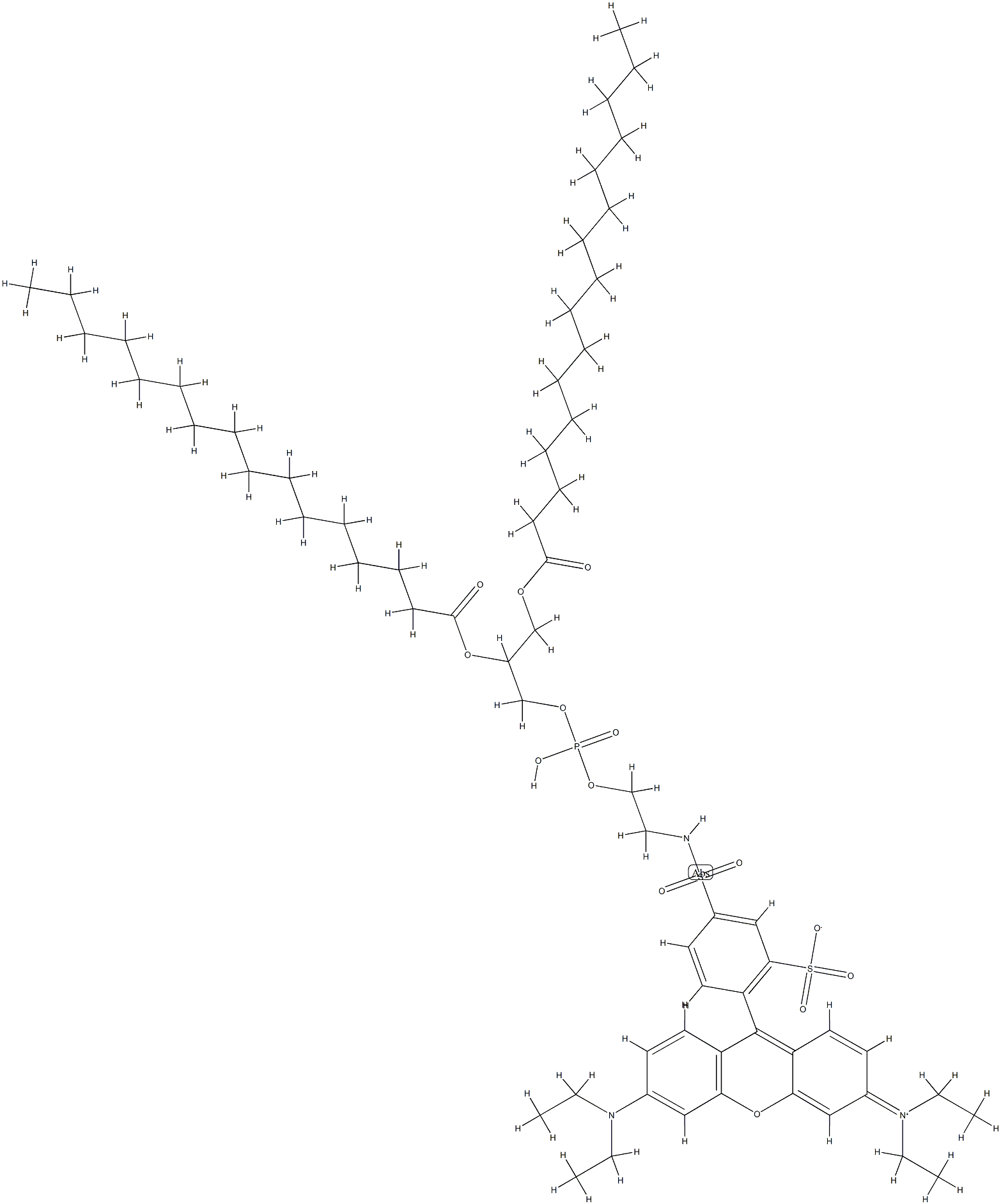 N-(lissamine-rhodamine B sulfonyl)-1,2-dipalmitoylphosphatidylethanolamine