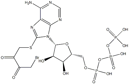 8-((4-bromo-2,3-dioxobutyl)thio)adenosine 5'-triphosphate