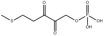 1-phospho-2,3-diketo-5-S-methylthiopentane