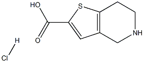 4,5,6,7-四氢噻吩并[3,2-C]吡啶-2-甲酸盐酸盐