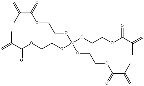 TETRAKIS(2-METHACRYLOXYETHOXY)SILANE