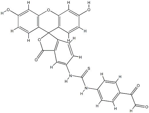 fluorescein isothiocyanate-phenylglyoxal