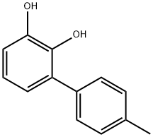 [1,1-Biphenyl]-2,3-diol, 4-methyl- (9CI)