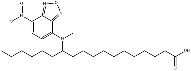 12-N-methyl-7-nitrobenzo-2-oxa-1,3-diazolamino stearate