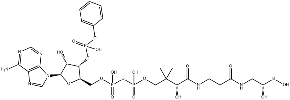 [(2R,3R,4R,5R)-5-(6-aminopurin-9-yl)-4-hydroxy-2-[[hydroxy-[hydroxy-[3-hydroxy-3-[2-[2-[2-(4-hydroxyphenyl)acetyl]sulfanylethylcarbamoyl]ethylcarbamoyl]-2,2-dimethyl-propoxy]phosphoryl]oxy-phosphoryl]oxymethyl]oxolan-3-yl]oxyphosphonic acid