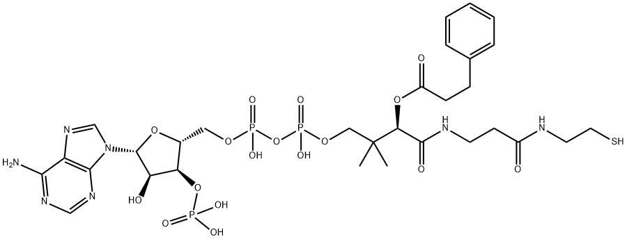 phenylpropionyl-coenzyme A