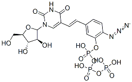 1-arabinofuranosyl-5-(4-azidostyryl)uracil 5'-triphosphate