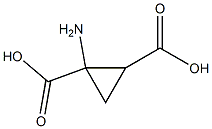 1,2-Cyclopropanedicarboxylicacid,1-amino-(9CI)