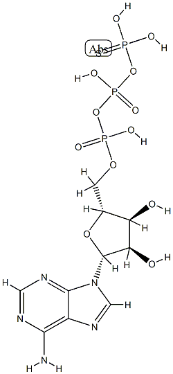 alpha-thioadenosine triphosphate