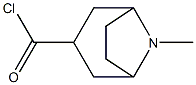 8-Azabicyclo[3.2.1]octane-3-carbonyl chloride, 8-methyl-, exo- (9CI)