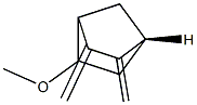 Bicyclo[2.2.1]heptane, 5-methoxy-2,3-bis(methylene)-, (1R-exo)- (9CI)