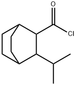 Bicyclo[2.2.2]octane-2-carbonyl chloride, 3-(1-methylethyl)- (9CI)