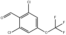 2,6-二氯-4-(三氟甲氧基)苯甲醛