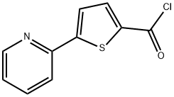 5-(2-吡啶基)-2-噻吩羰酰氯
