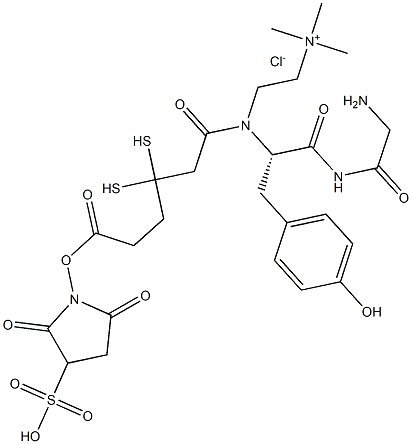 3,3'-dithiopropionyl-1-sulfosuccinimidyl 1'-glycyl-tyrosyl cholamine