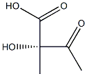dynorphin A amide (1-13), biocytin(13)-