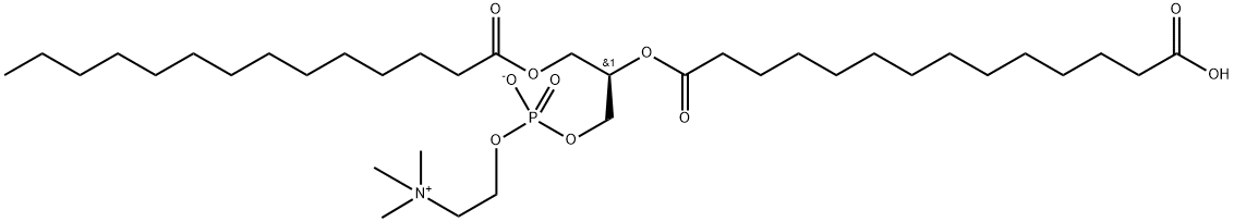 1-MYRISTOYL-2-(14-CARBOXYMYRISTOYL)-SN-GLYCERO-3-PHOSPHOCHOLINE;14:0-14:0(COOH) PC