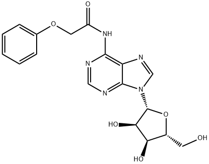 N-(苯氧基乙酰基)腺苷