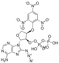 2',3'-O (2,4,6-trinitrophenyl)-8-azidoadenosine diphosphate