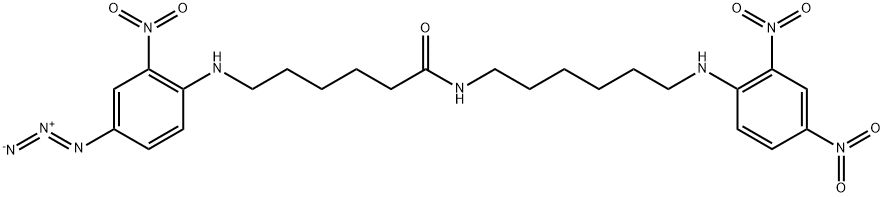 6-(2,4-dinitrophenylamino)-1-aminohexyl-6-(4'-azido-2'-nitrophenylamino)hexanoate
