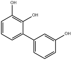 [1,1-Biphenyl]-2,3,3-triol (9CI)