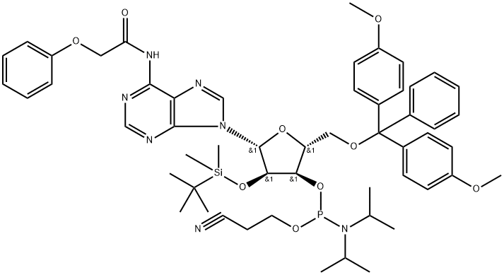 N-blocked-5'-O-DMT-2'-O-TBDMS CED adenosine phosphoramidit