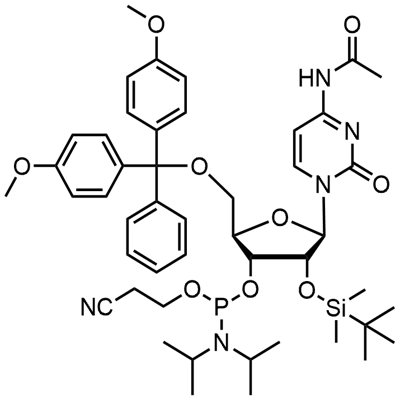 N-乙酰基-5'-O-(4,4-二甲氧基三苯甲基)-2'-O-[(叔丁基)二甲基硅基]胞苷-3'-(2-氰基乙基-N,N-二异丙基)亚磷酰胺