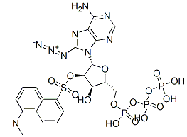 8-azido-2'-O-dansyladenosine triphosphate