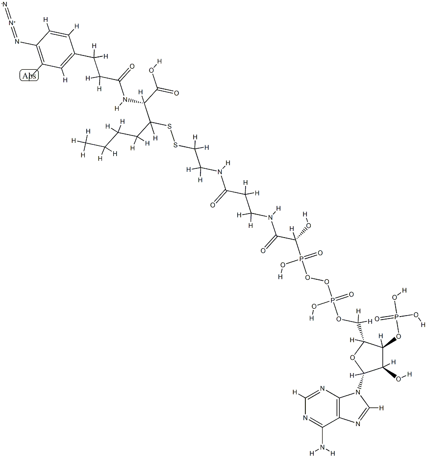 N-(3-iodo-4-azidophenylpropionamido)cysteinyl-5-(2'-thiopyridyl)cysteine-coenzyme A